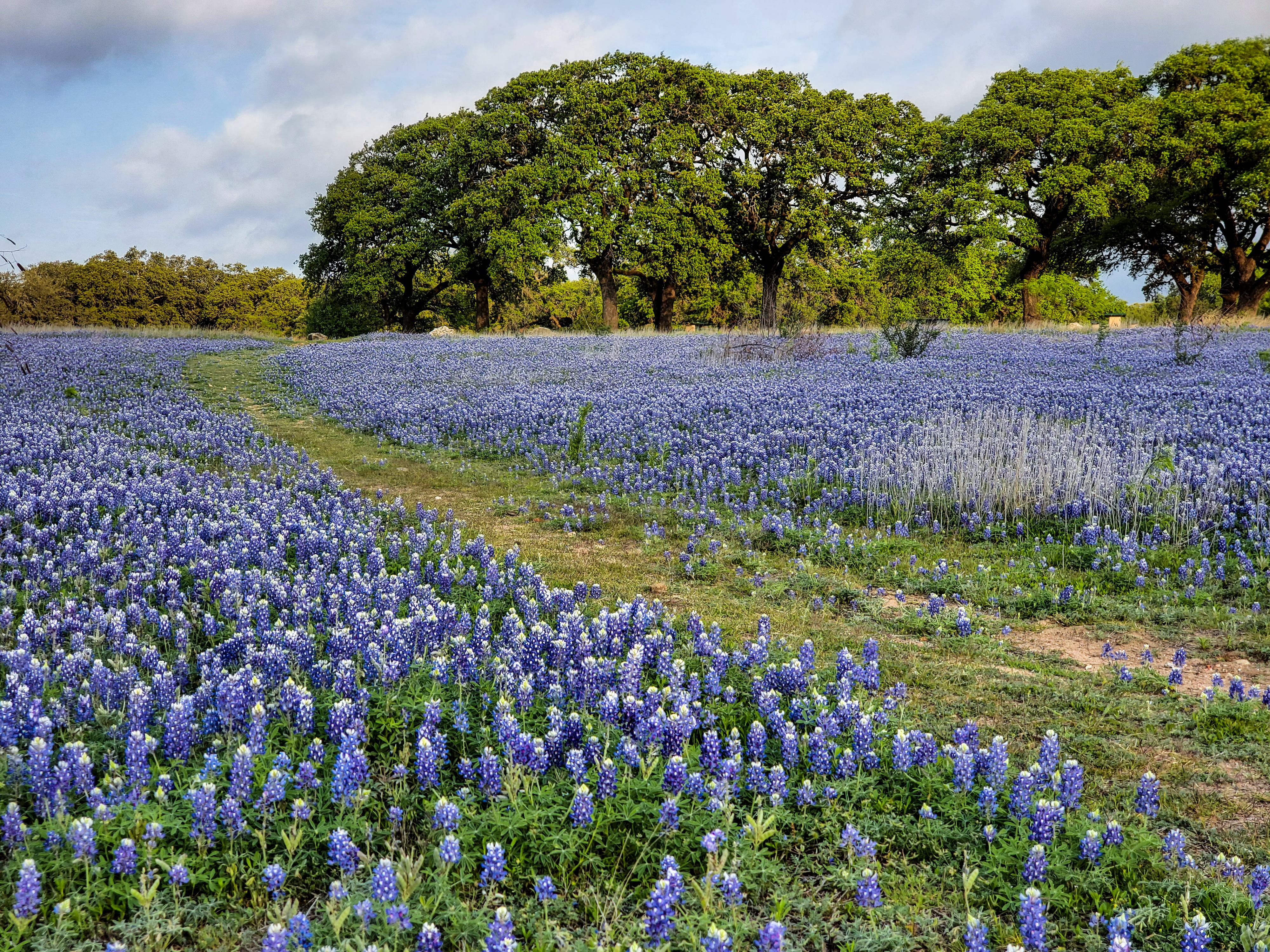 Pace Bend Craig Plata